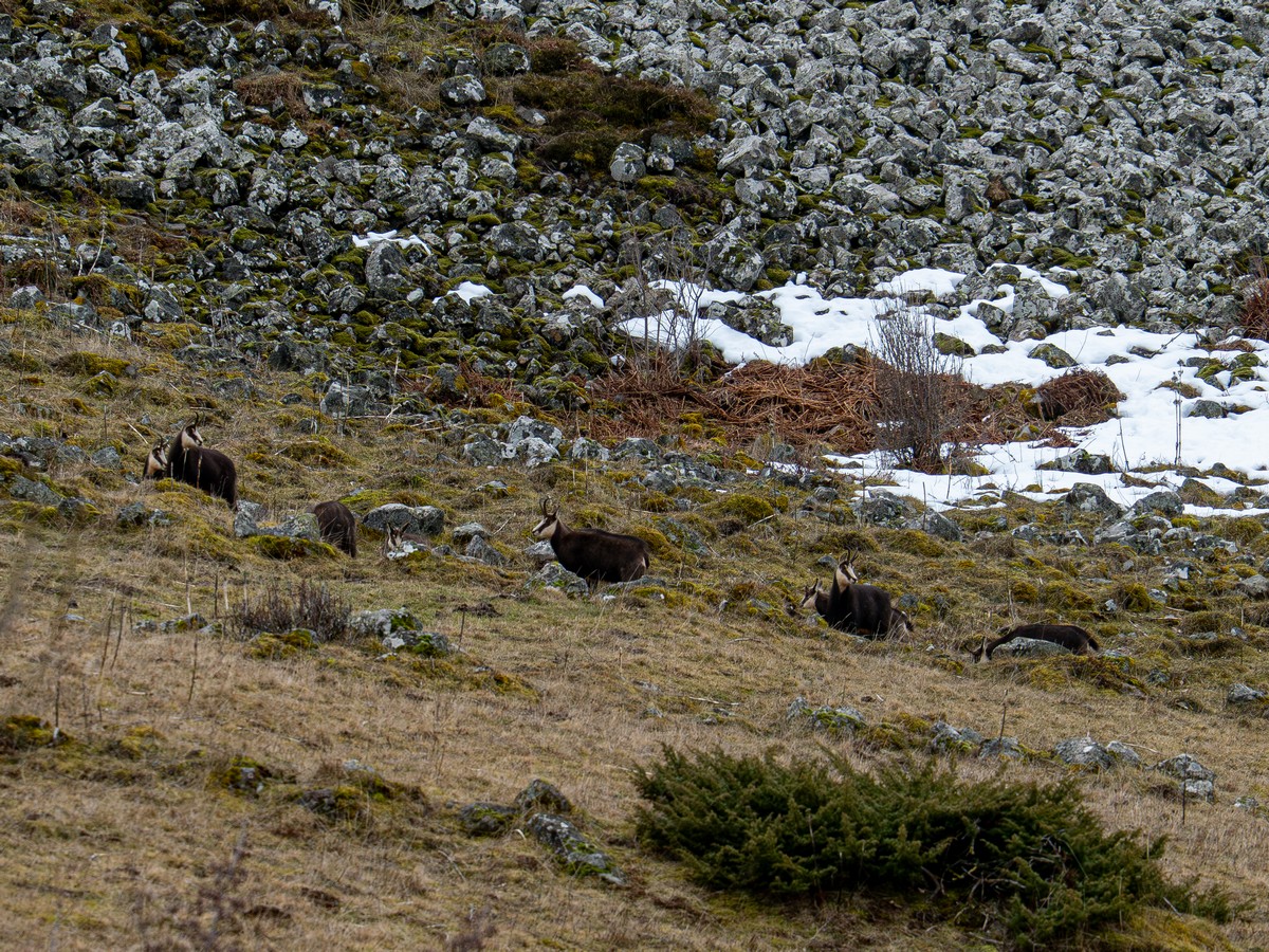 05022026-05 02 2026 (1).jpg